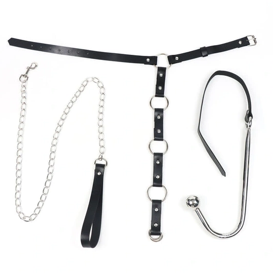 Anal Hook and Collar Kinky EverydayUse 5853 Leash with 0831